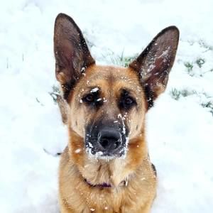 Meet your Posher, Kristin